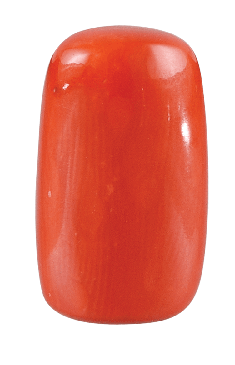 Coral